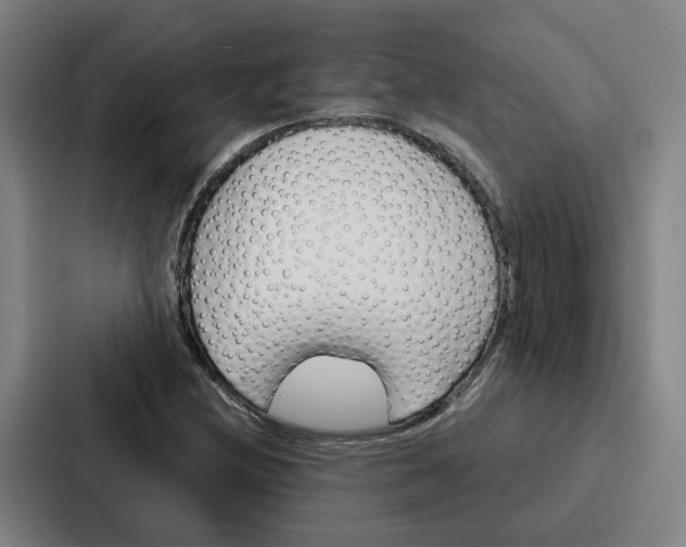 X0000086901212200705141636