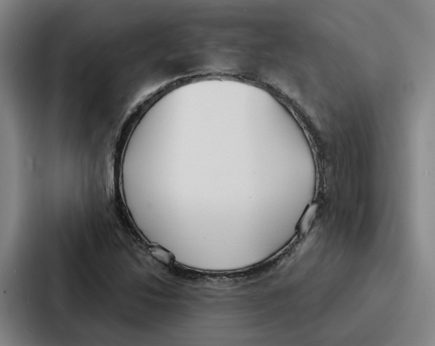 X0000086901214200705141636