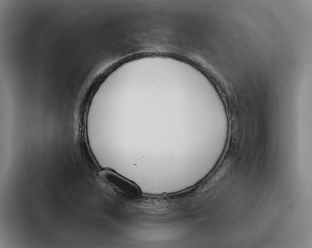 X0000086901215200705141636