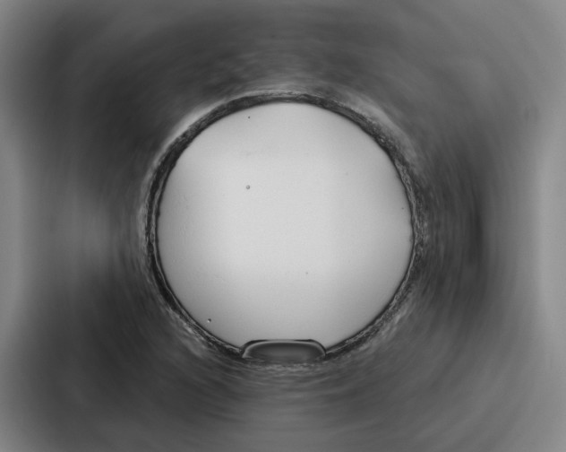 X0000086901216200705141636