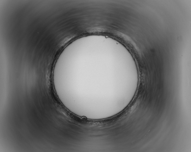 X0000086901217200705141636