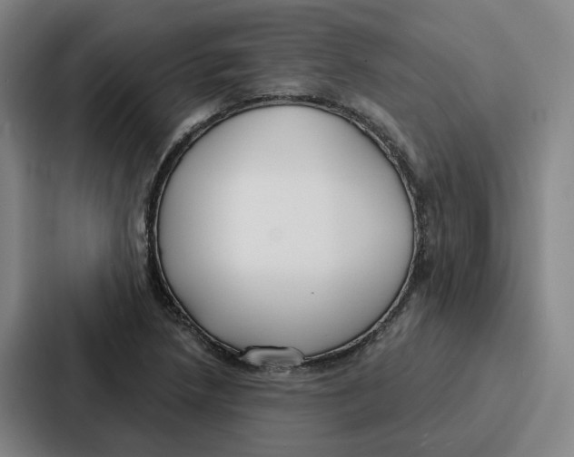 X0000086901218200705141636