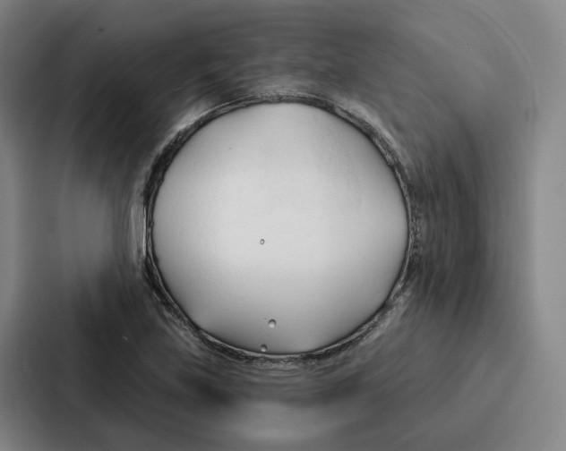 X0000086901219200705141636