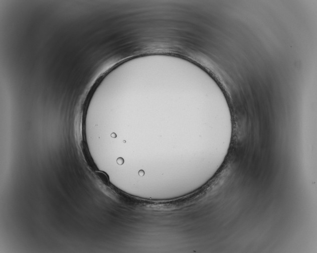 X0000086901227200705141636