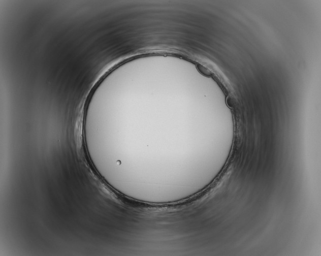 X0000086901228200705141636