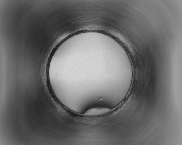 X0000086901229200705141636