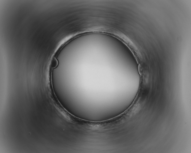 X0000086901230200705141636