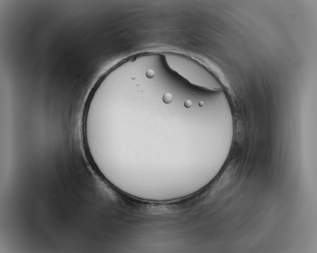 X0000086901231200705141636