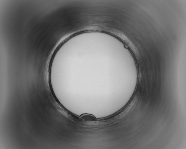 X0000086901232200705141636