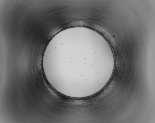 X0000086901233200705141636