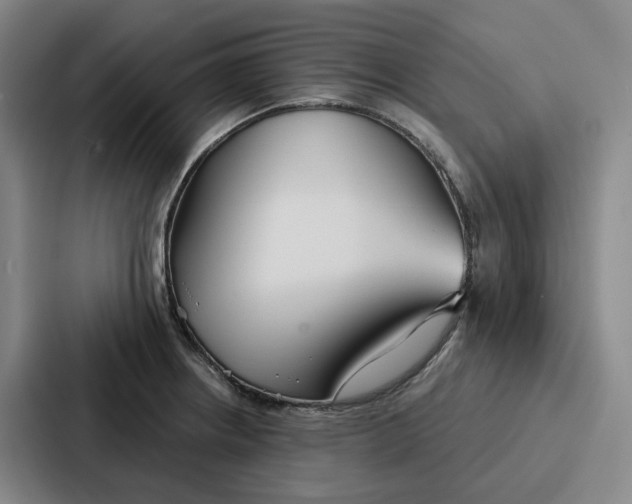 X0000086901234200705141636