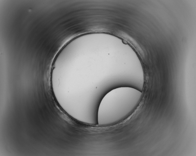 X0000086901236200705141636