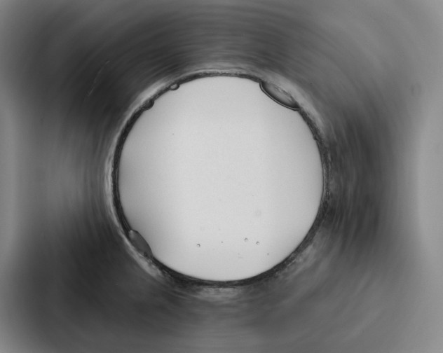 X0000086901237200705141636