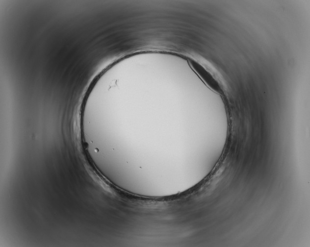 X0000086901238200705141636