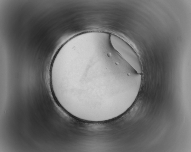 X0000086901239200705141636