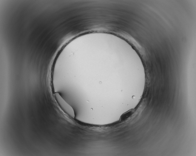 X0000086901240200705141636