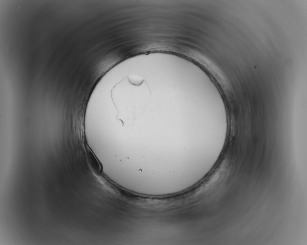 X0000086901241200705141636