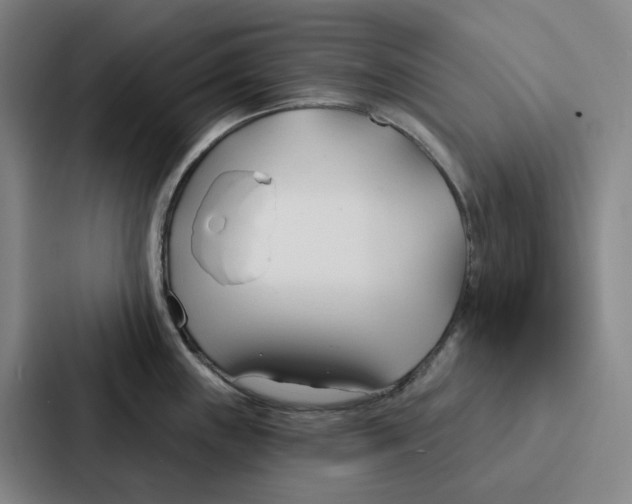 X0000086901243200705141636