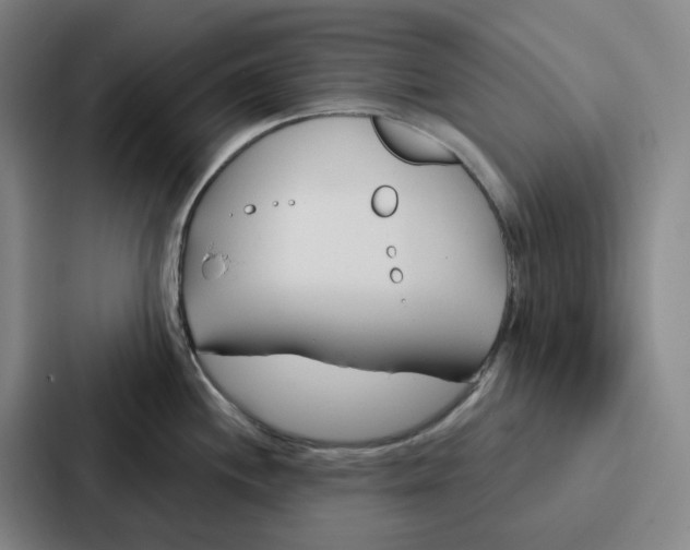 X0000086901244200705141636