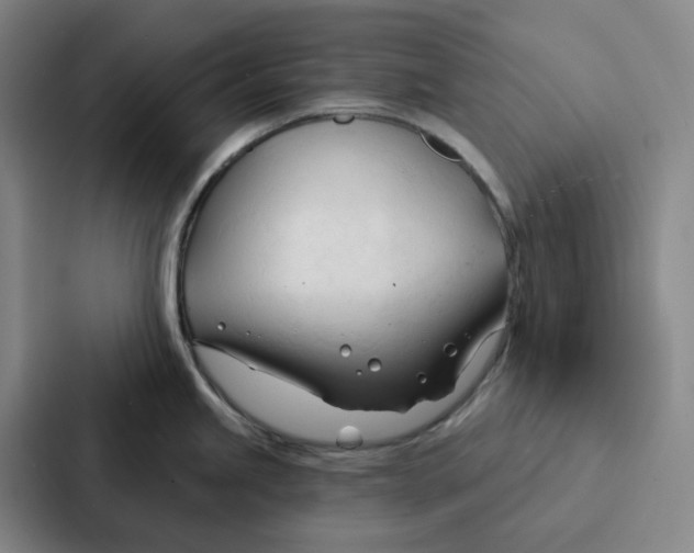 X0000086901245200705141636