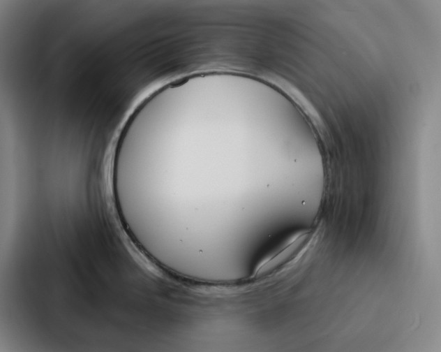 X0000086901246200705141636