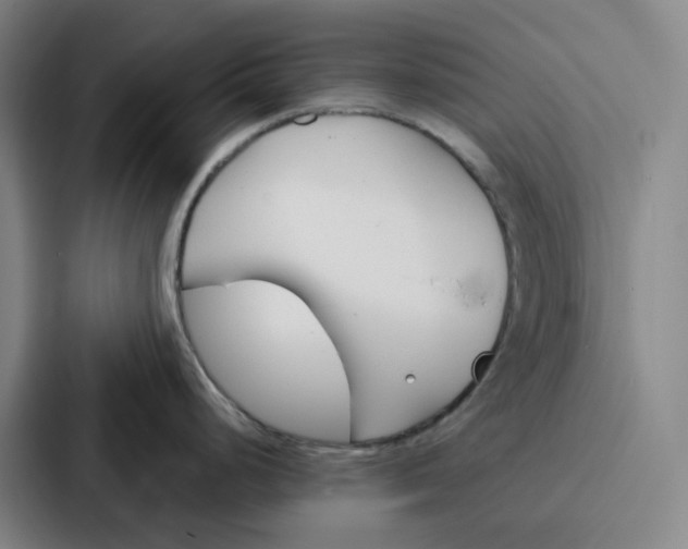 X0000086901248200705141636