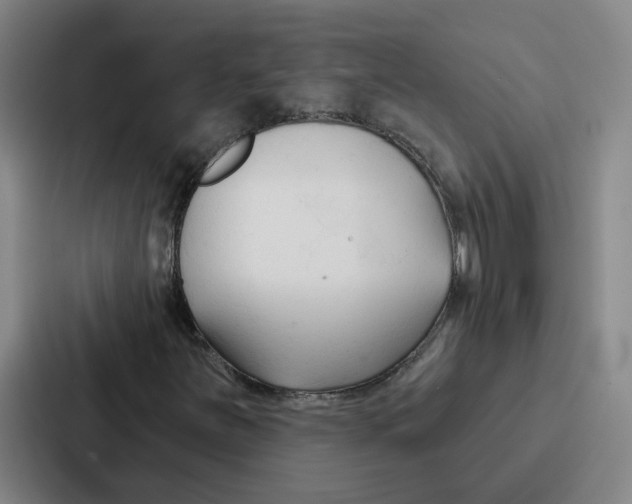 X0000086901251200705141635