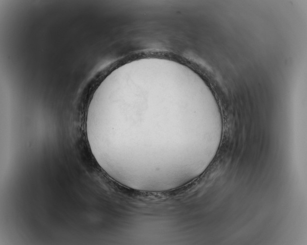 X0000086901255200705141635