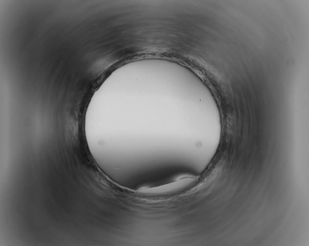 X0000086901257200705141635