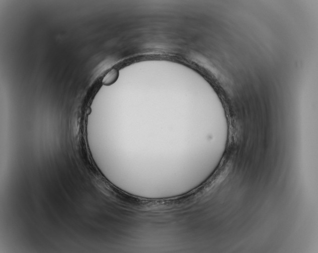 X0000086901259200705141635