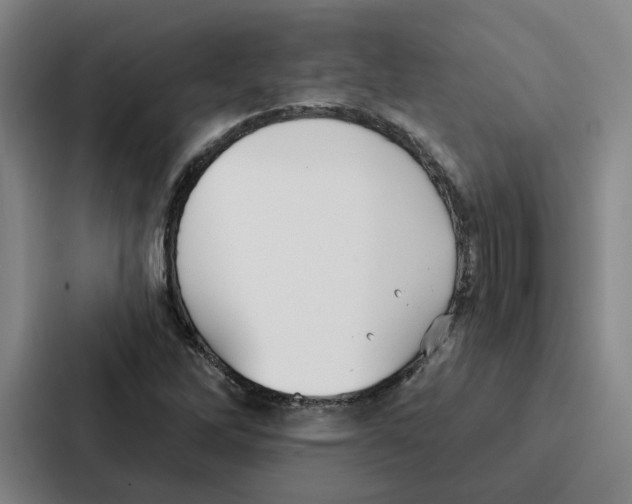 X0000086901262200705141635