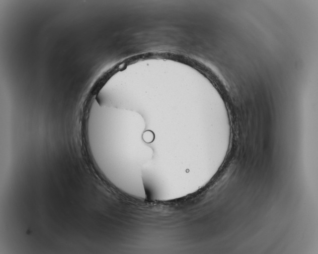 X0000086901263200705141635