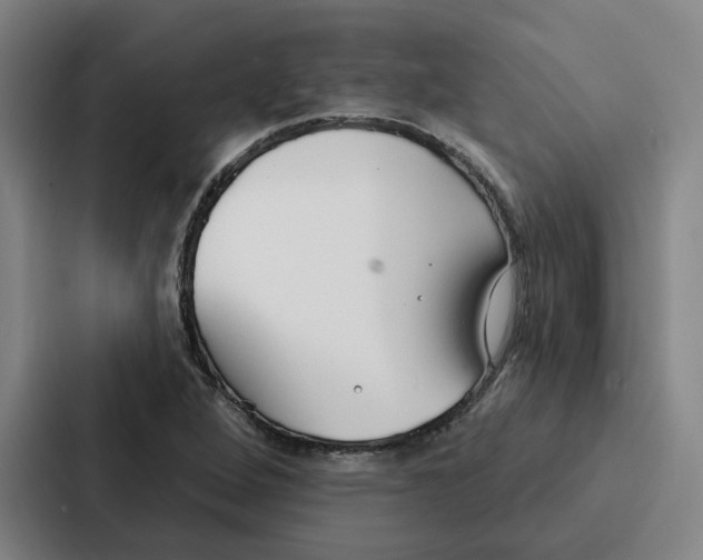 X0000086901264200705141635