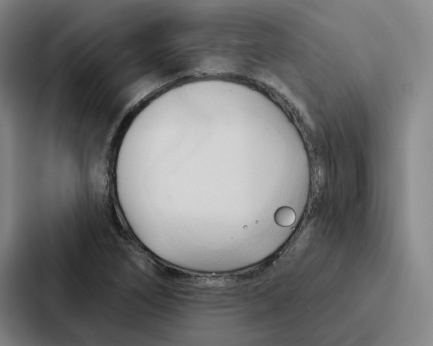 X0000086901266200705141635