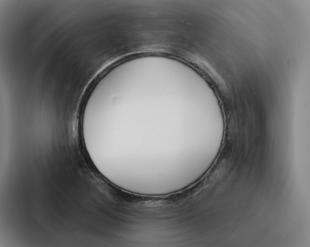 X0000086901268200705141635