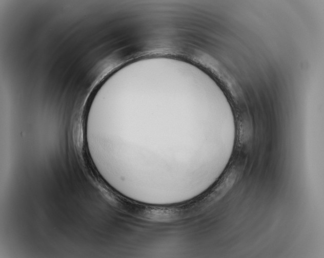 X0000086901274200705141635