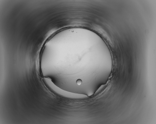 X0000086901275200705141635