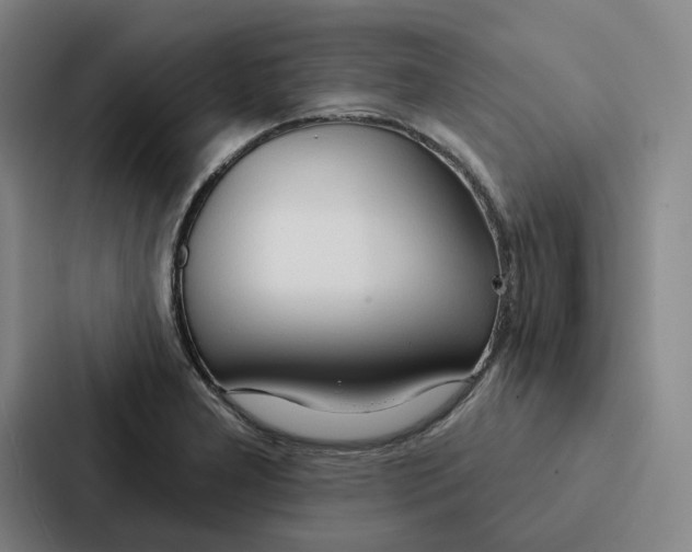 X0000086901277200705141635