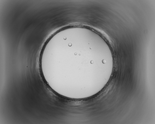 X0000086901279200705141635