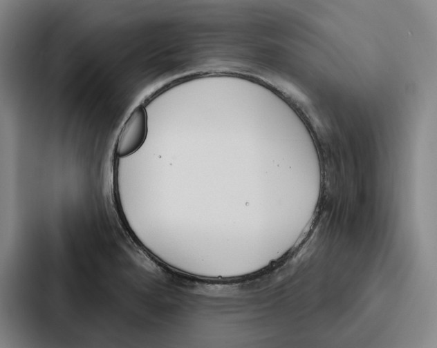 X0000086901280200705141635