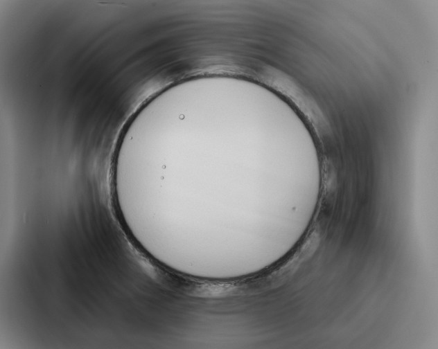 X0000086901282200705141635