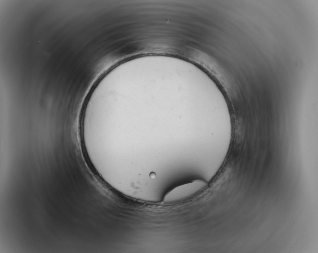 X0000086901283200705141635