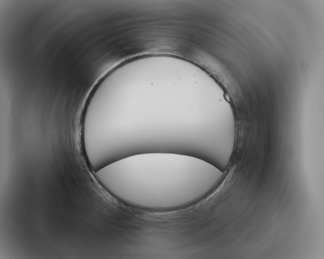 X0000086901284200705141635