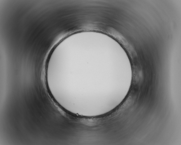 X0000086901286200705141635