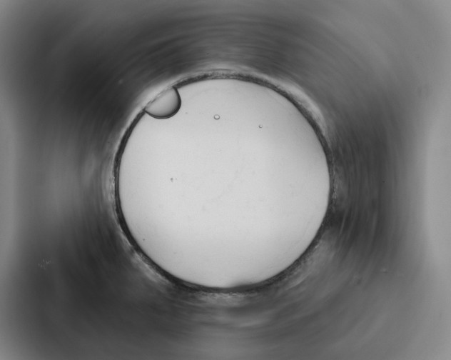 X0000086901287200705141635