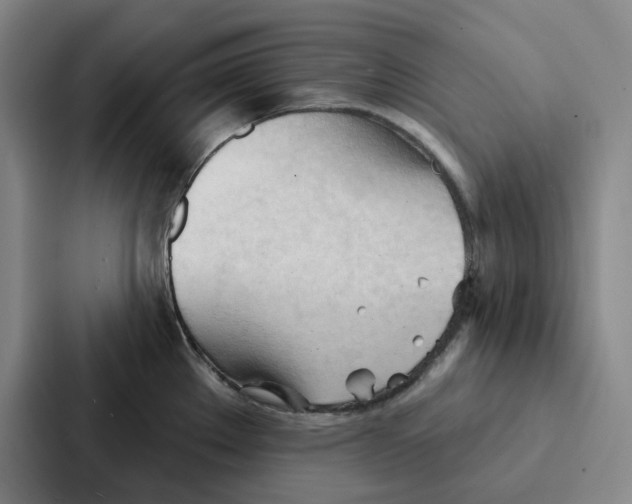 X0000086901289200705141635