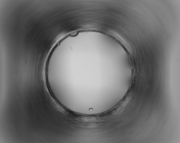 X0000086901291200705141635