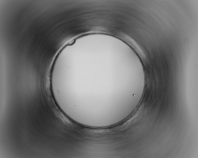 X0000086901292200705141635