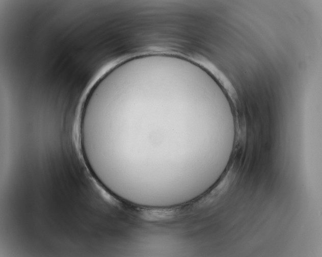 X0000086901294200705141635