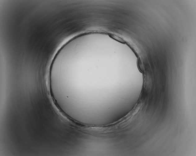 X0000086901295200705141635